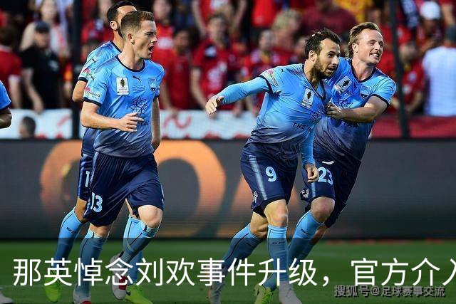 那英悼念刘欢事件升级，官方介入调查结果公开